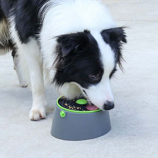 Multi functional Card Dog Cage Licking Plate Suction Cup Dog Feeder Specification Bowl Disc